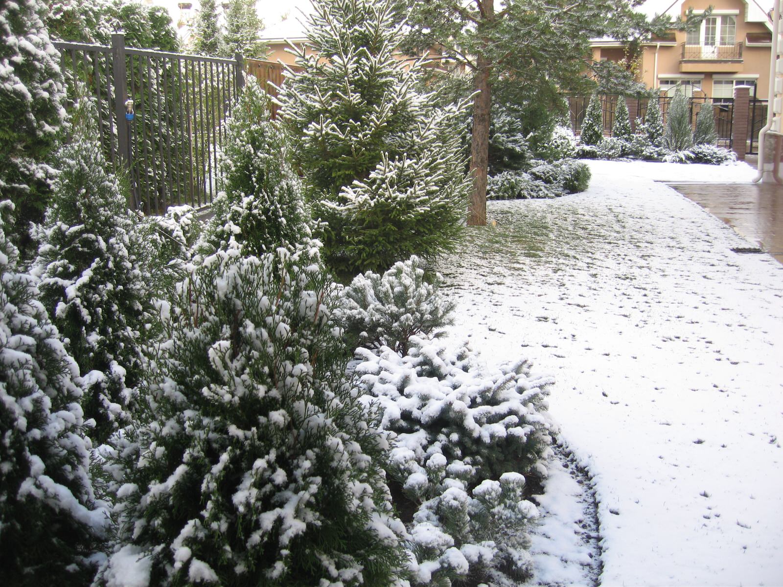 Обложка проекта: Сад за две недели.