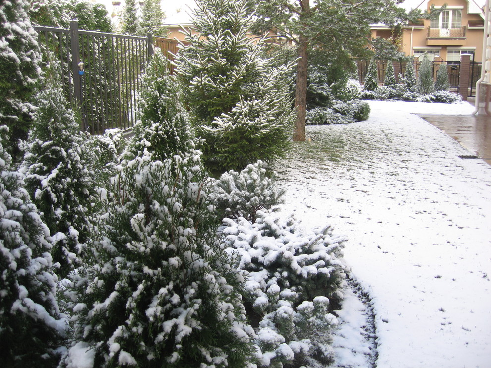 Обложка проекта: Сад за две недели.