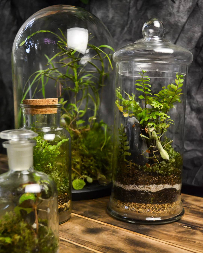 Обложка проекта: Закрытые экосистемы