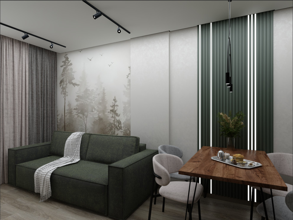 Оливковая квартира для студента