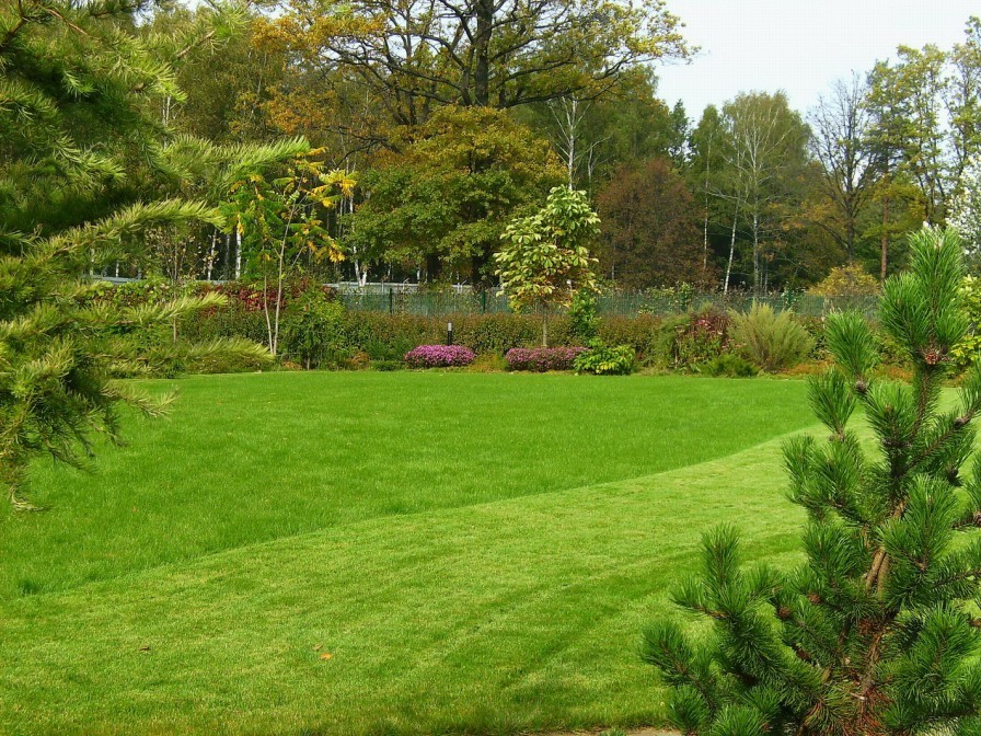 Сентябрь в саду.