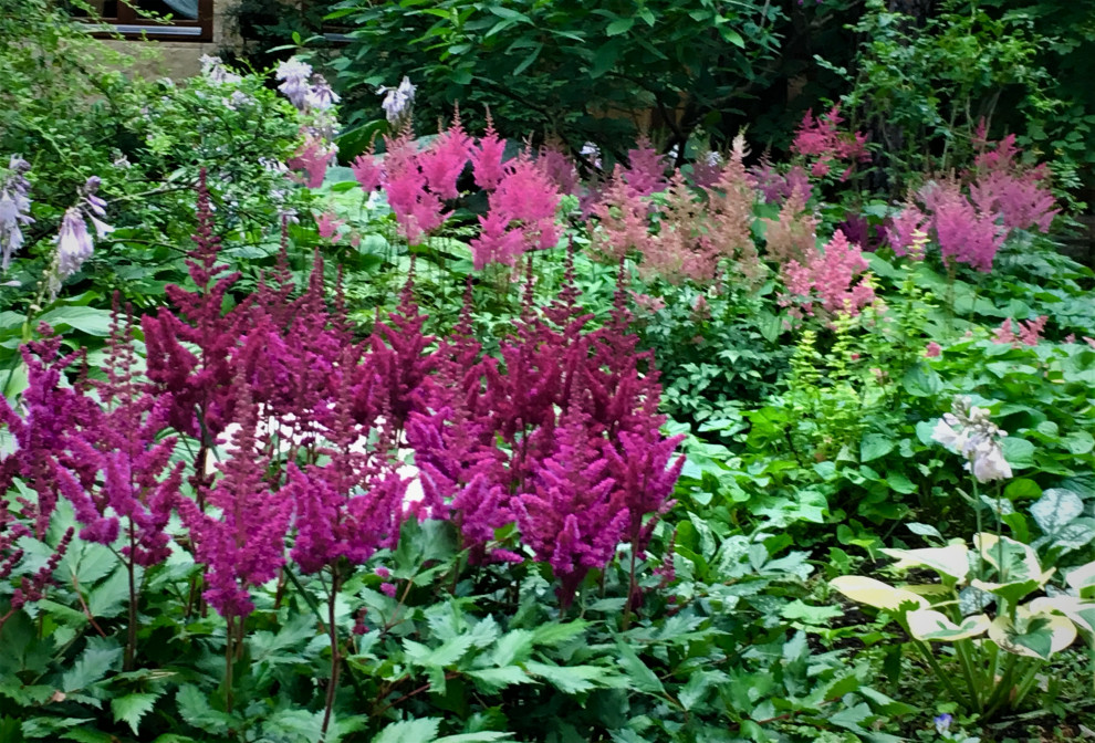 Академическая дача