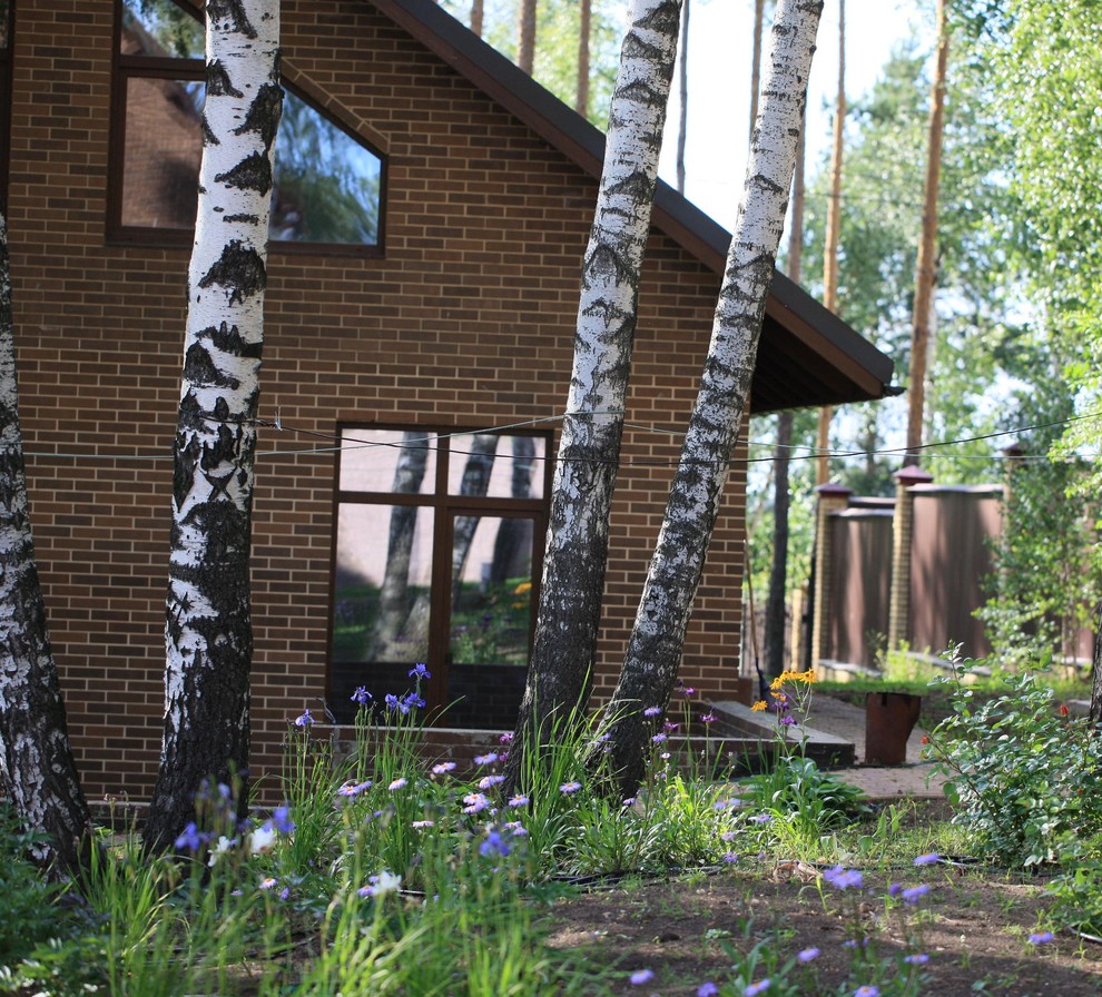 Березовая роща