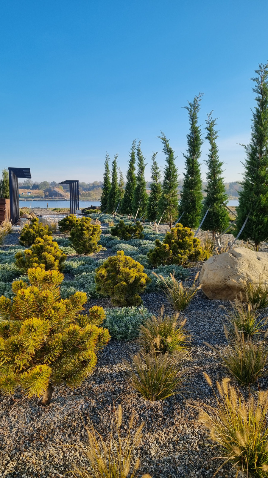 Реализация проекта Сад Реки