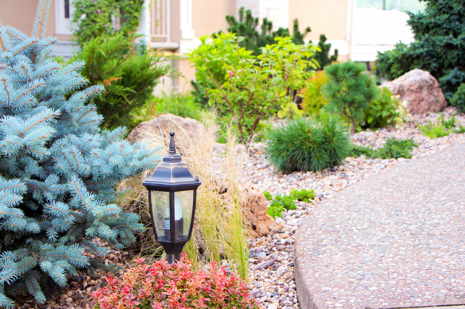 Новые Вешки, 2016