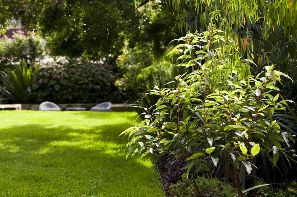 Фото, ландшатный дизайн