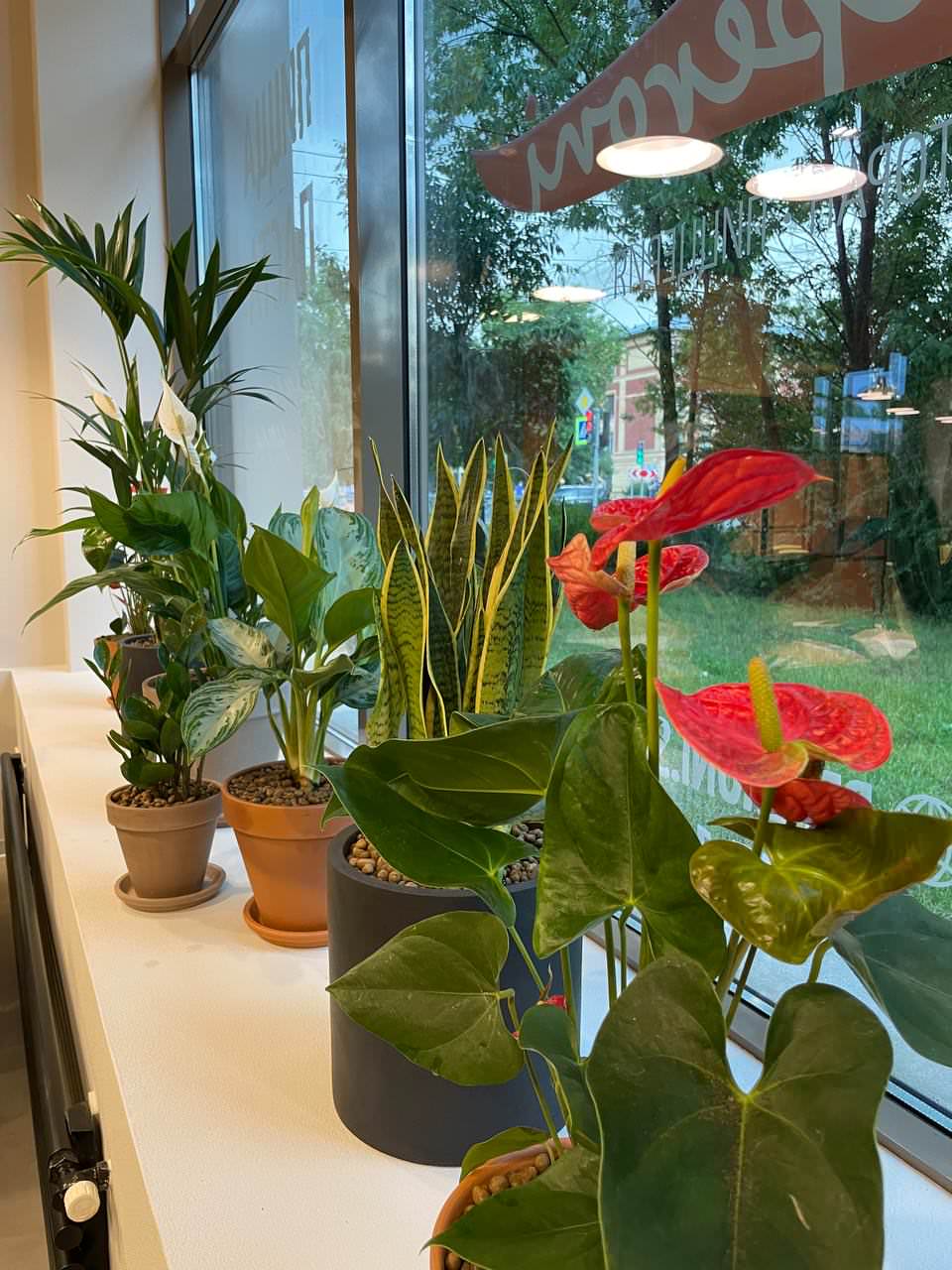 Пиццерия Peperoni г. Санкт-Петербург