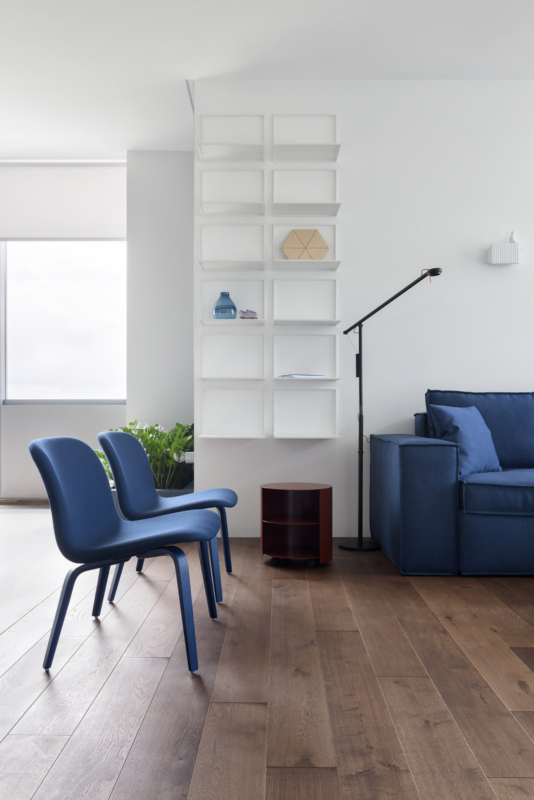 RS • Квартира с грибом и улитками