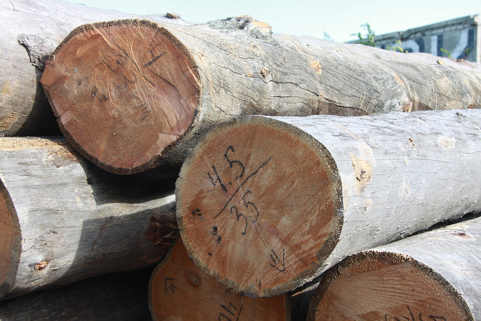 Производство и заготовка