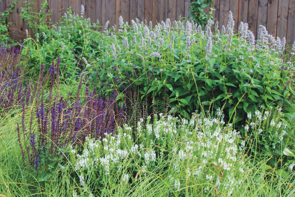 д. Кутузово