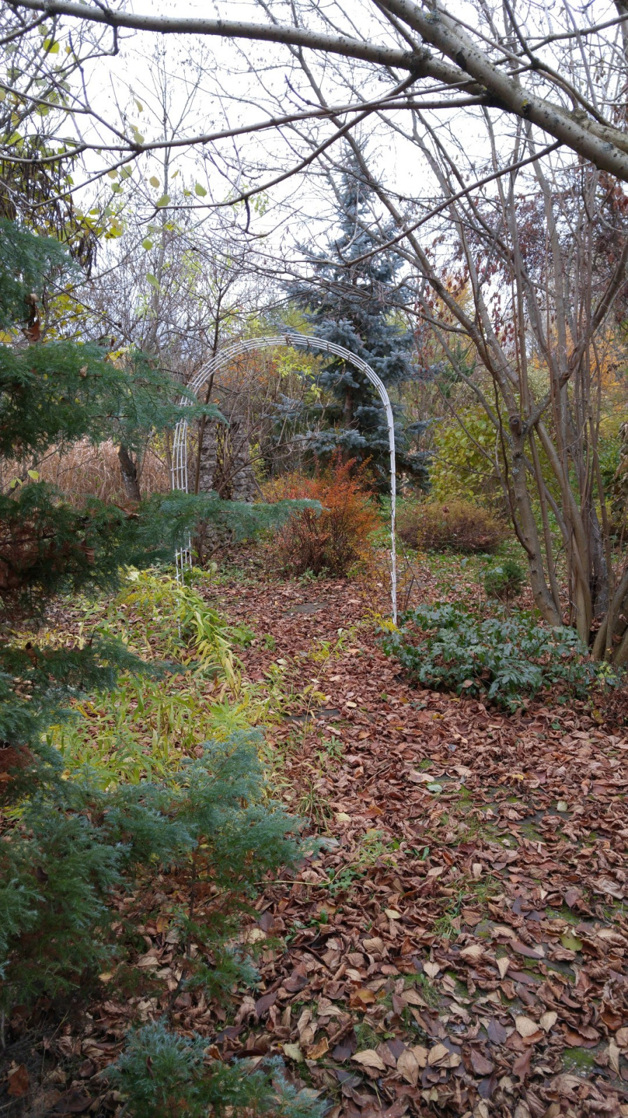 Анна Костерина