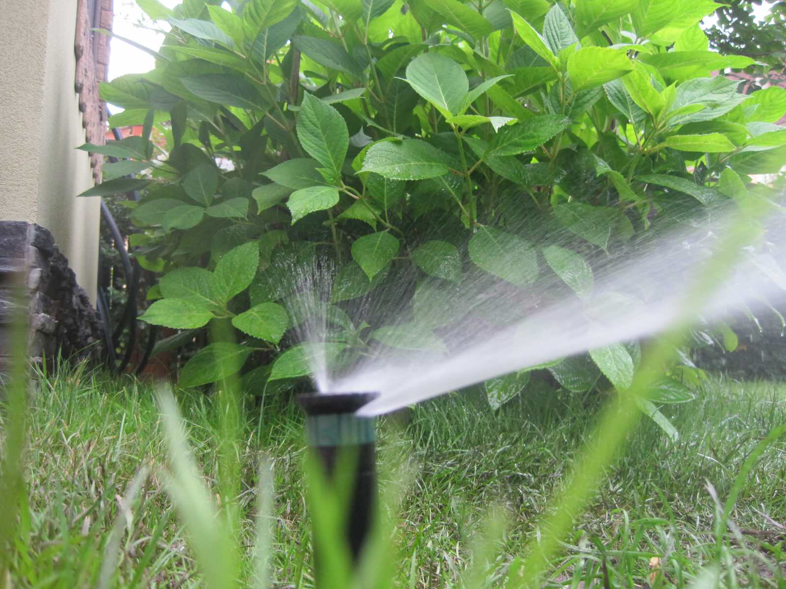 Благоустройство и озеленение