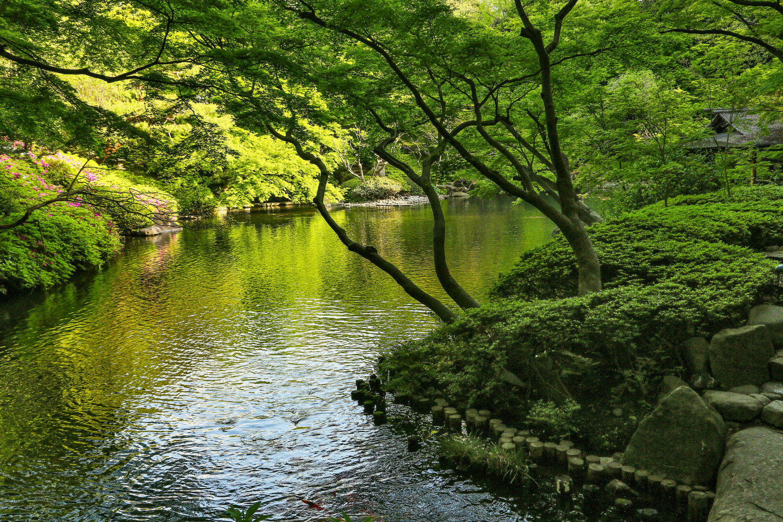 Исторический сад Happoen Garden, Tokyo, Japan