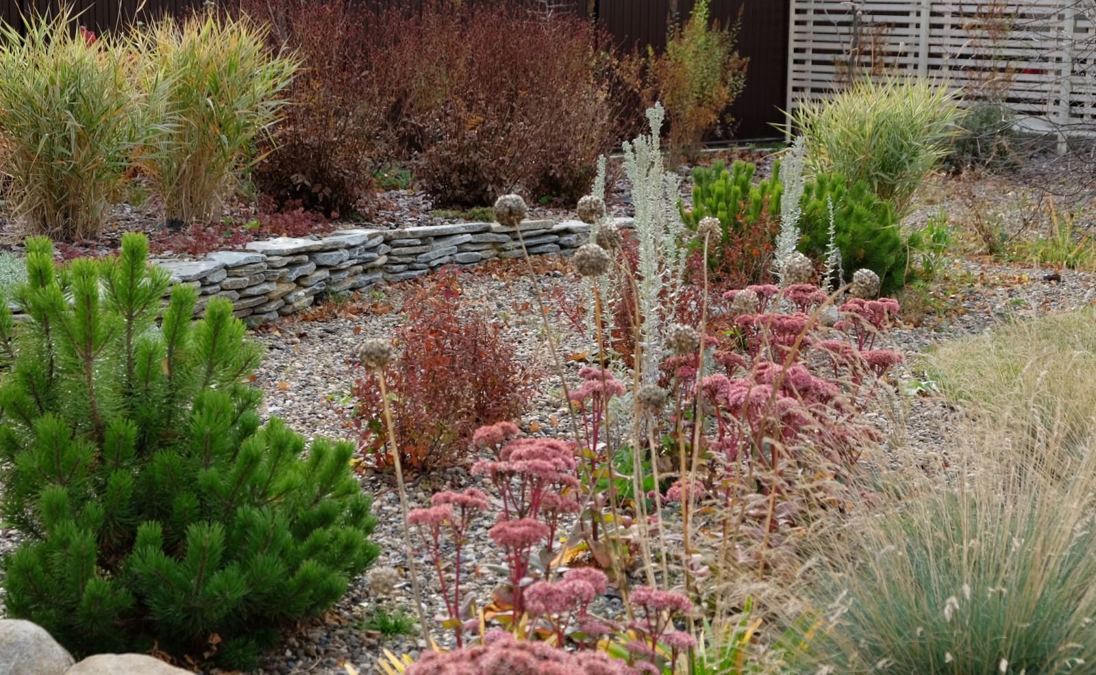 ДЫХАНИЕ ВЕТРА