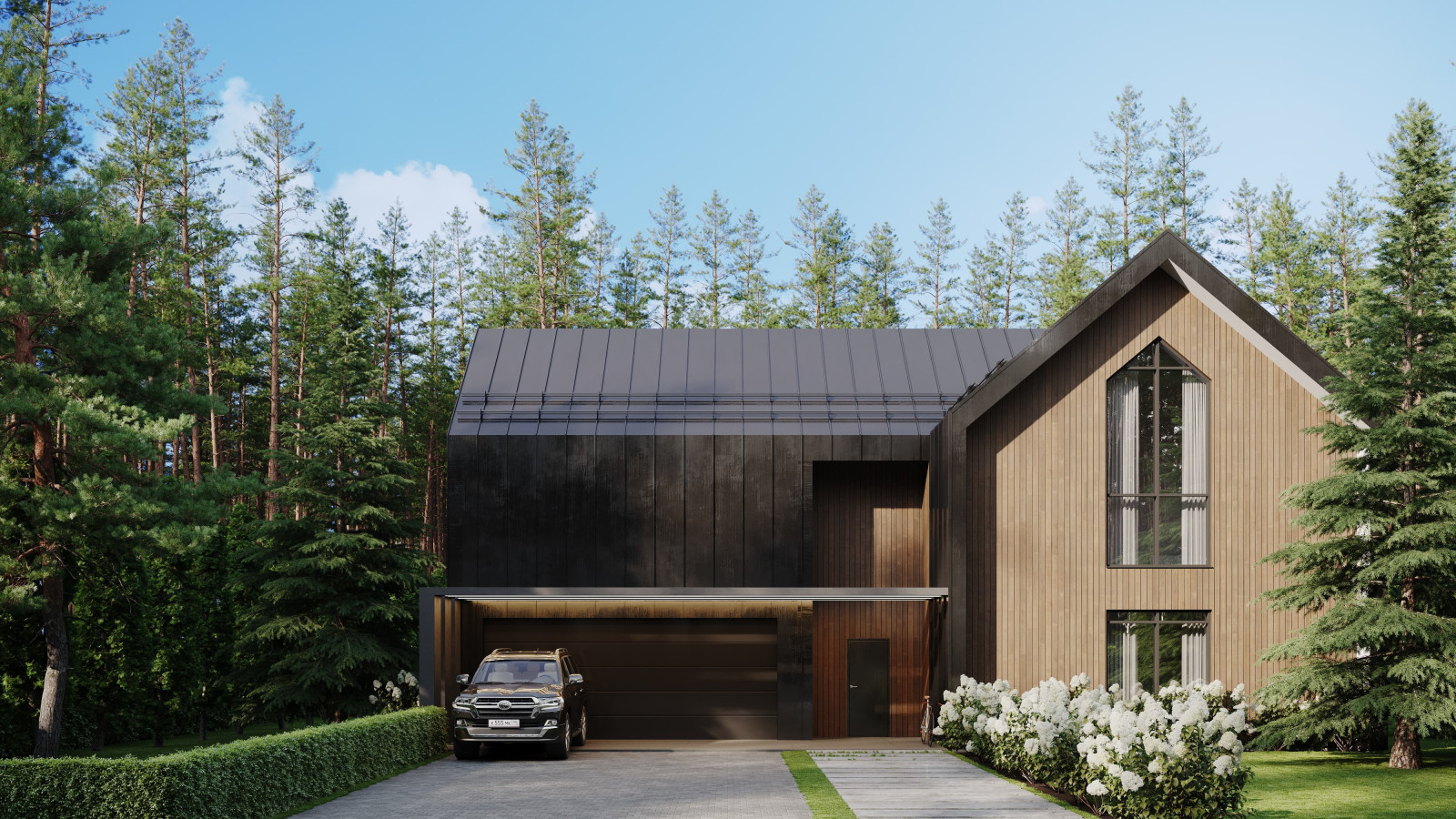 Обложка проекта: Скандика