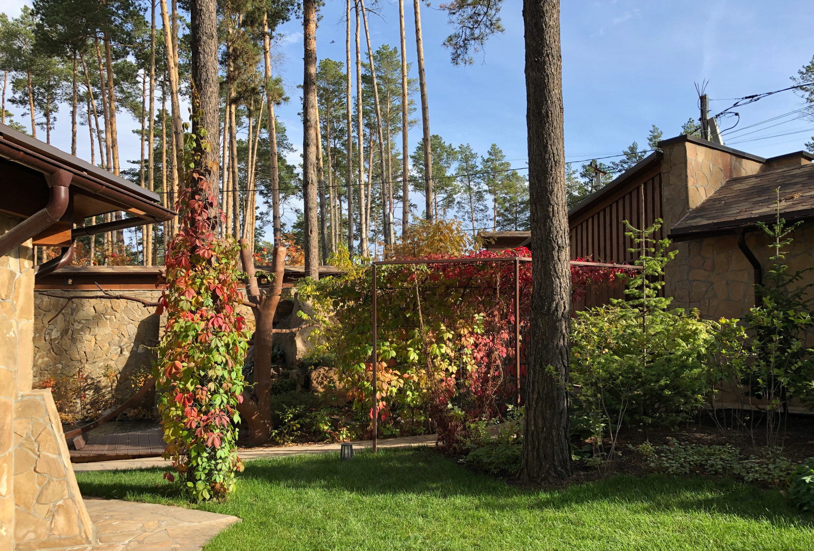 Просторный сад