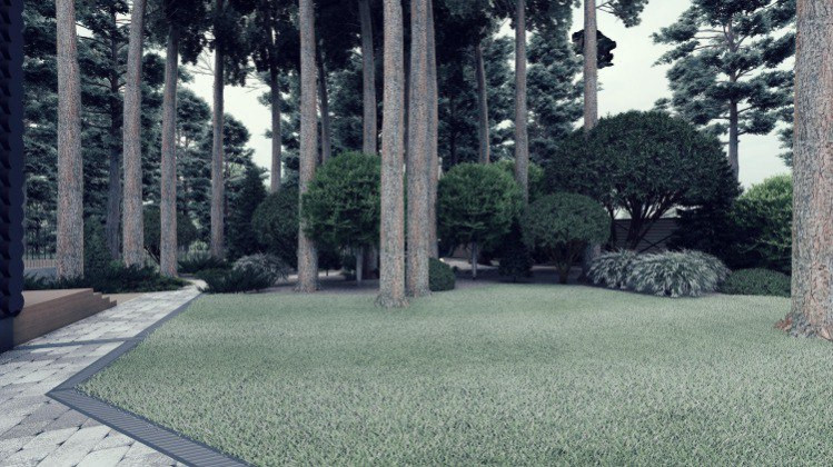 Ландшафт. Лесная погулка