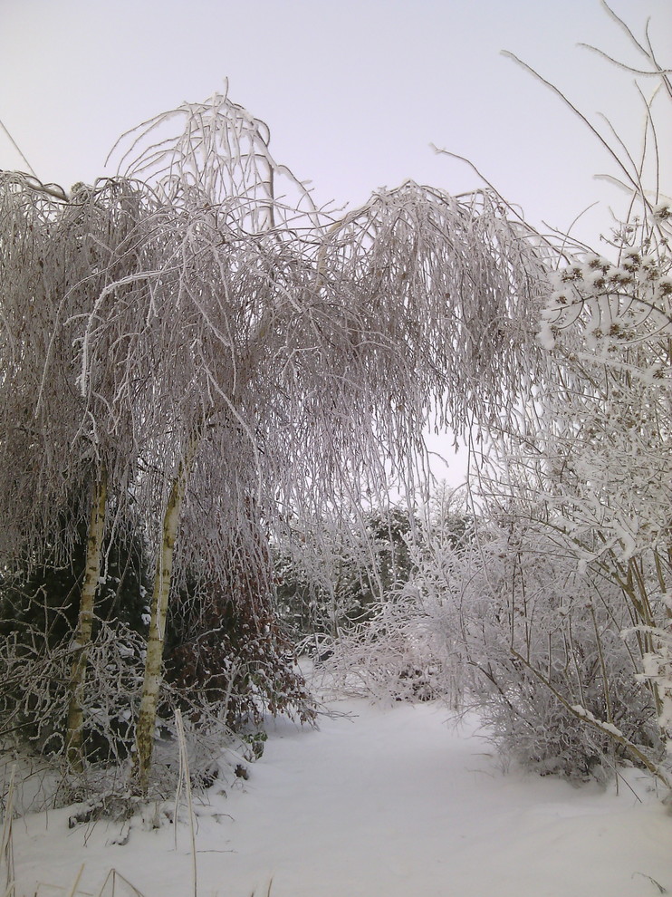 Наш собственный сад
