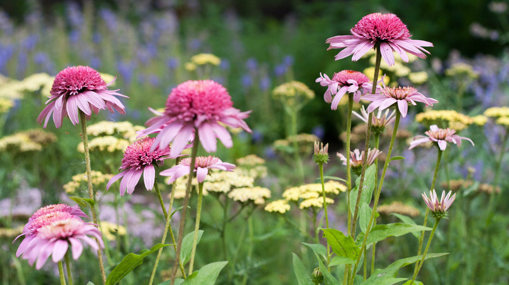 Оттенки синего