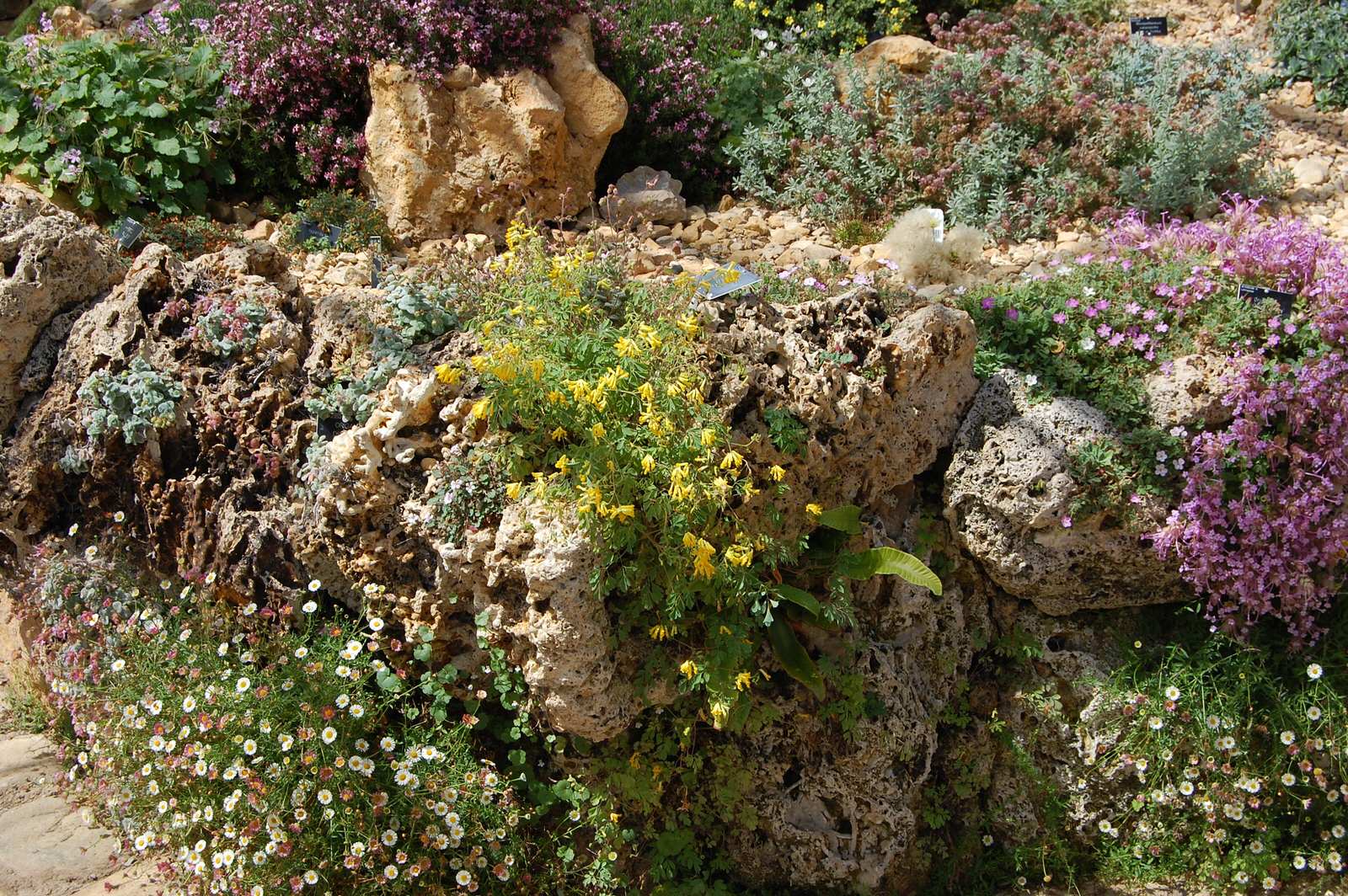 Наши статьи: "Сад пяти чувств". Фото 7