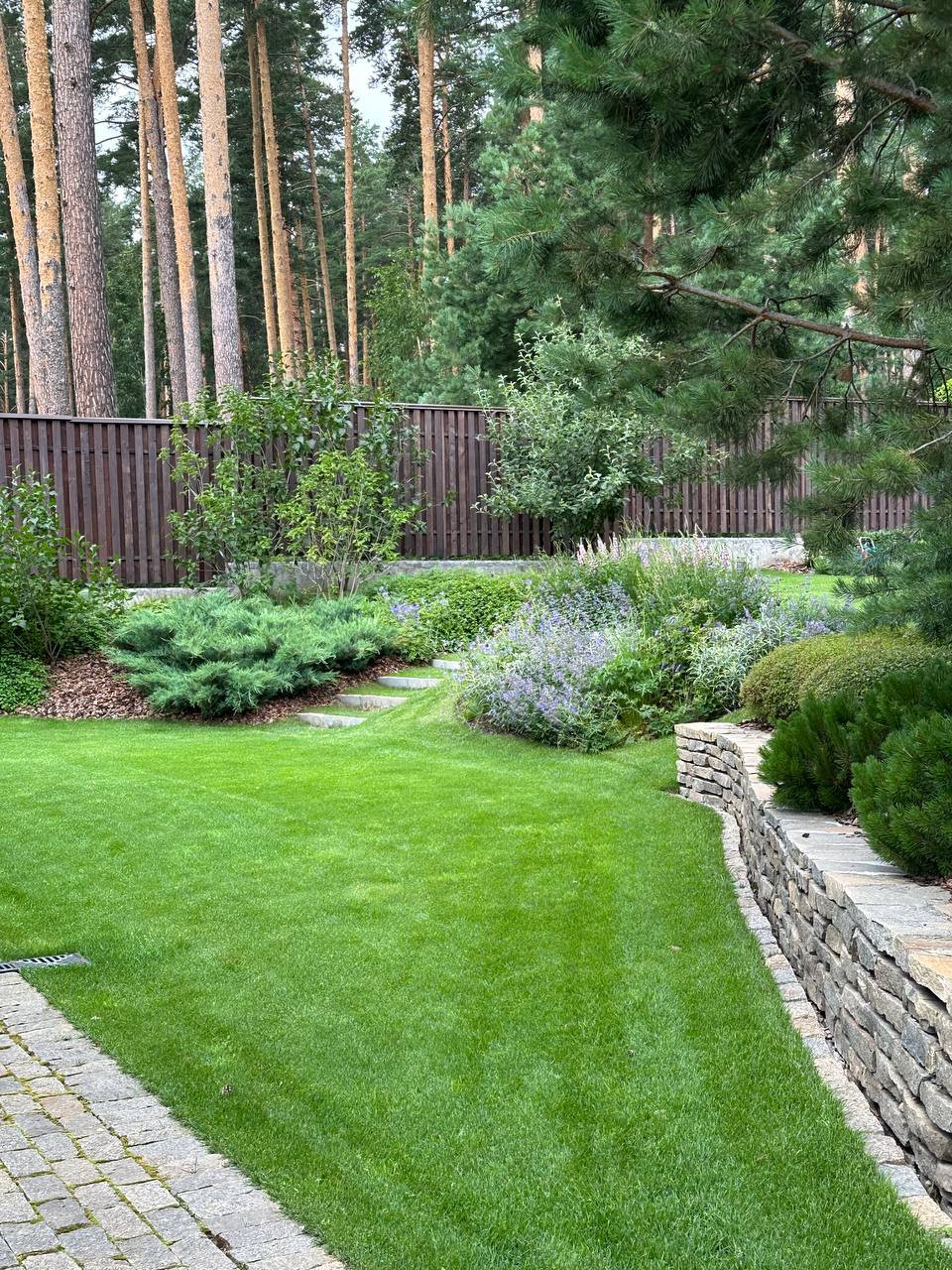 Золотой карп