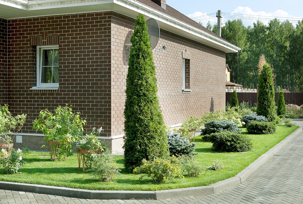 Вавиловец 1