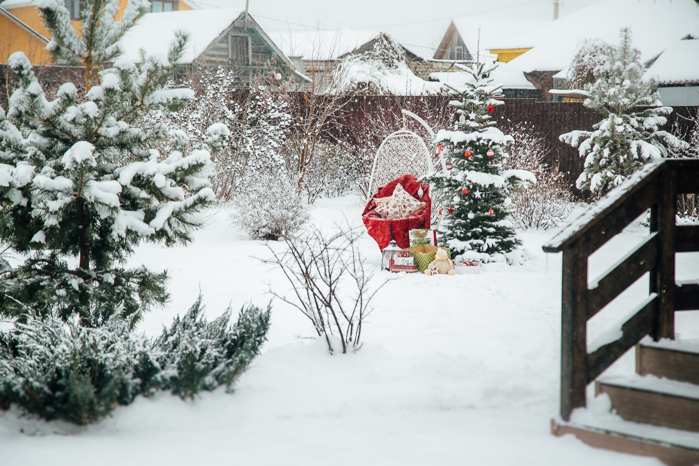 Зимний сад. Ощущение праздника!
