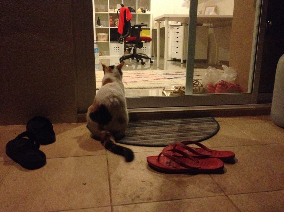 Личный опыт: Жизнь в Таиланде своим домом