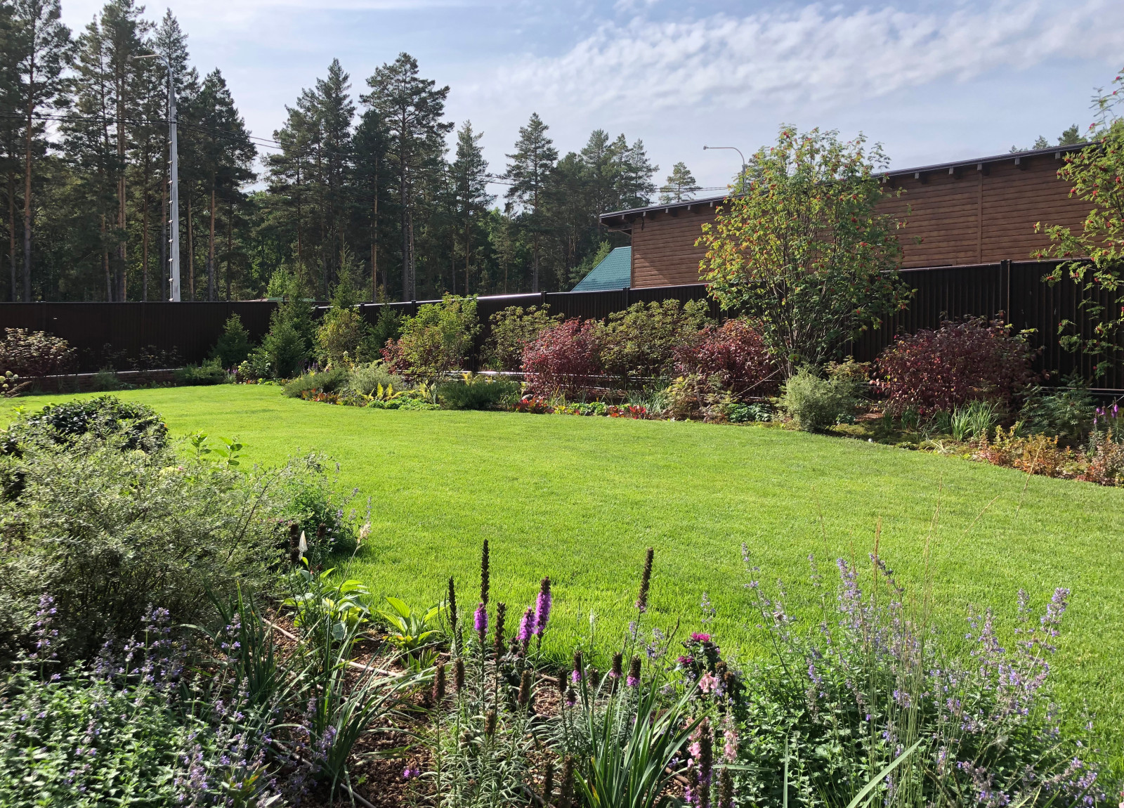 Усадьба на краю леса