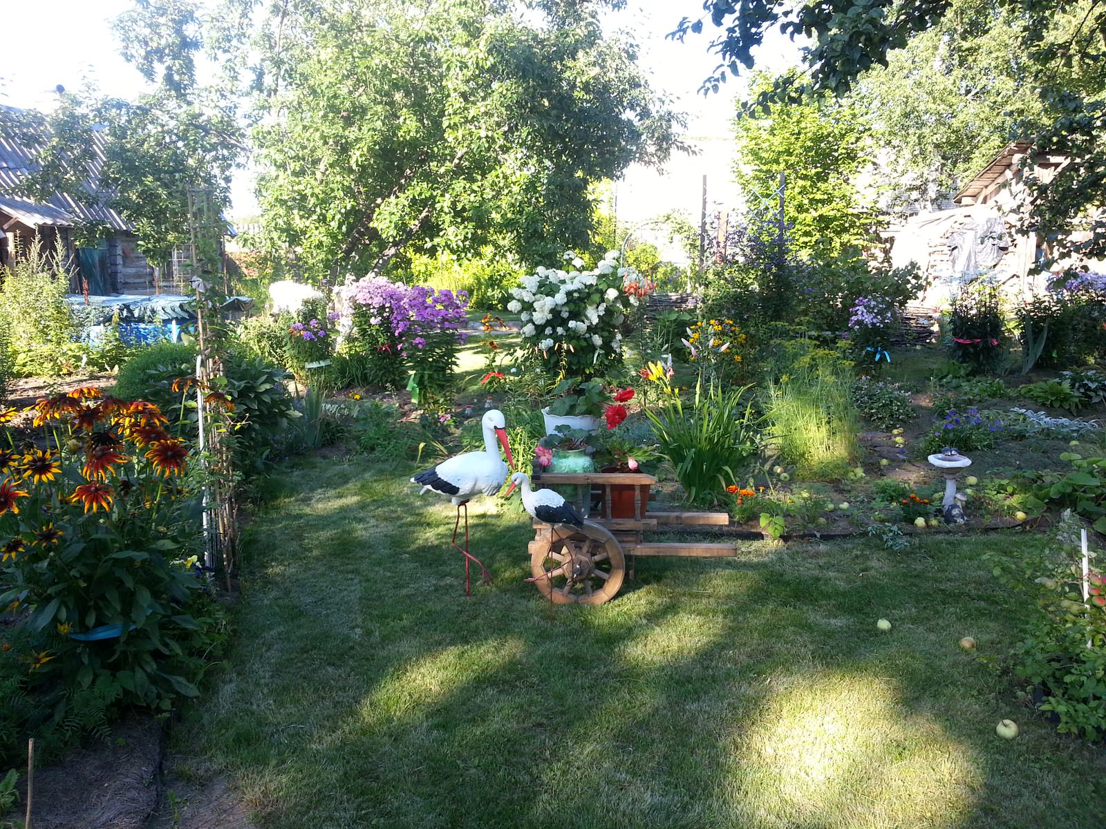 Ирина Федорченко