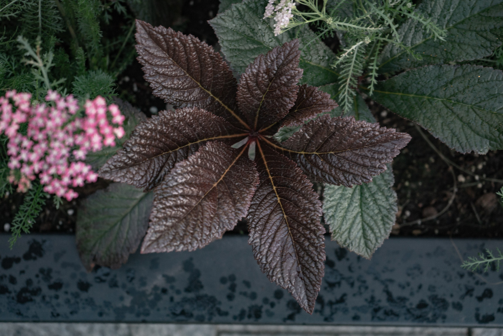 Архитектура природы