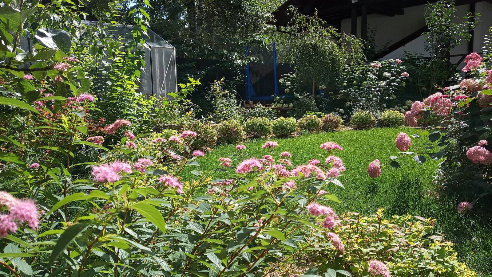 Сад в Рожновке