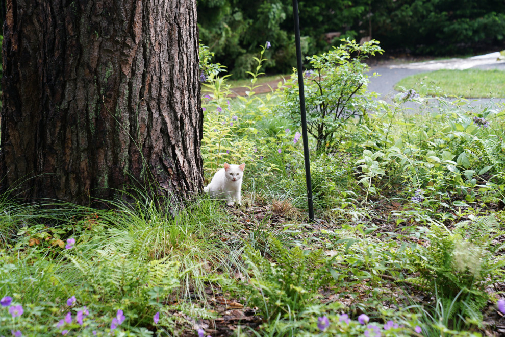 КП Ново Успенский. 2022-23 гг.