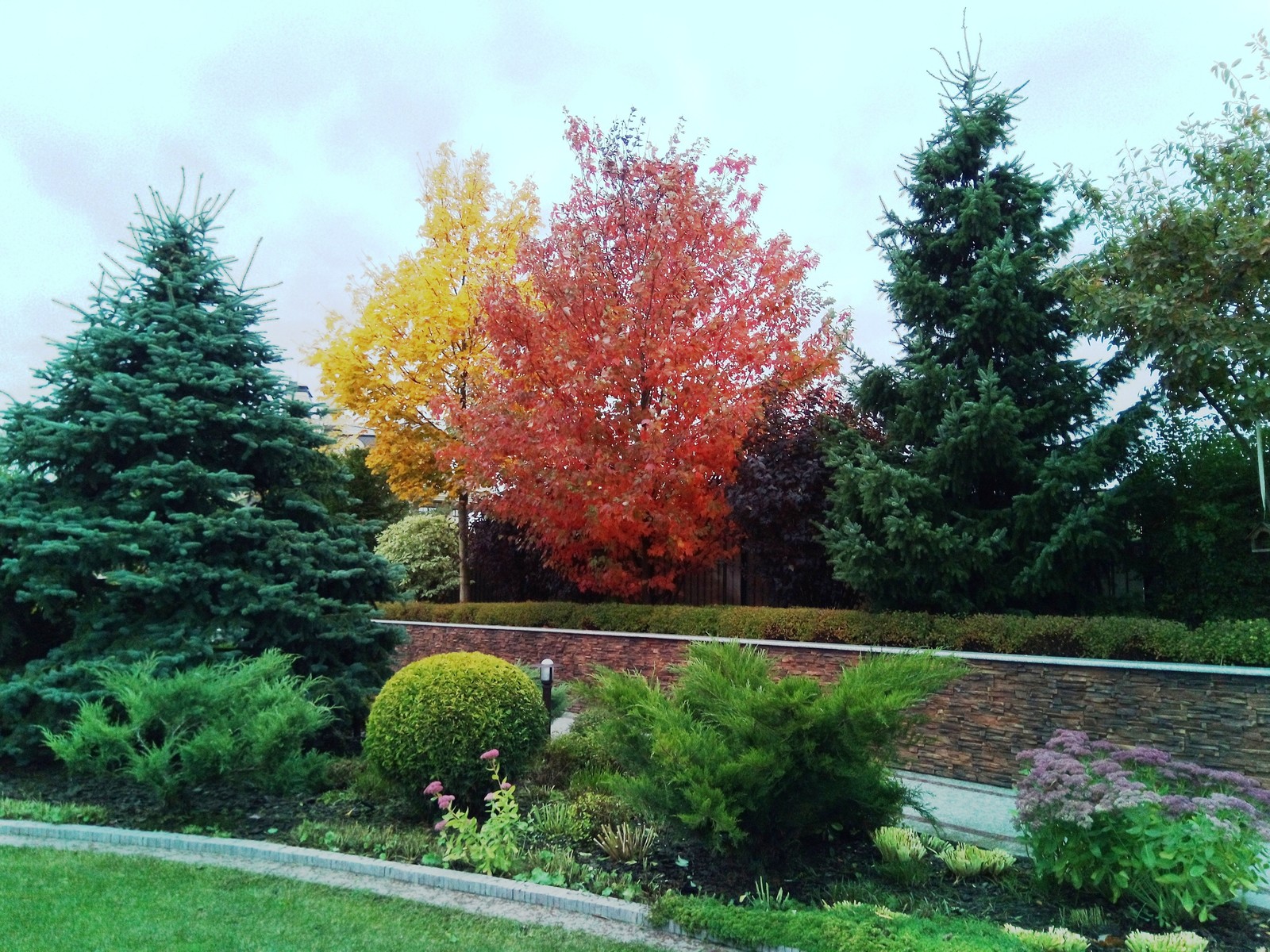 кп "Милениум" - Профессиональный уход за садом - 100% качество!