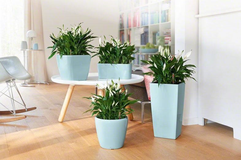 Классика дизайна