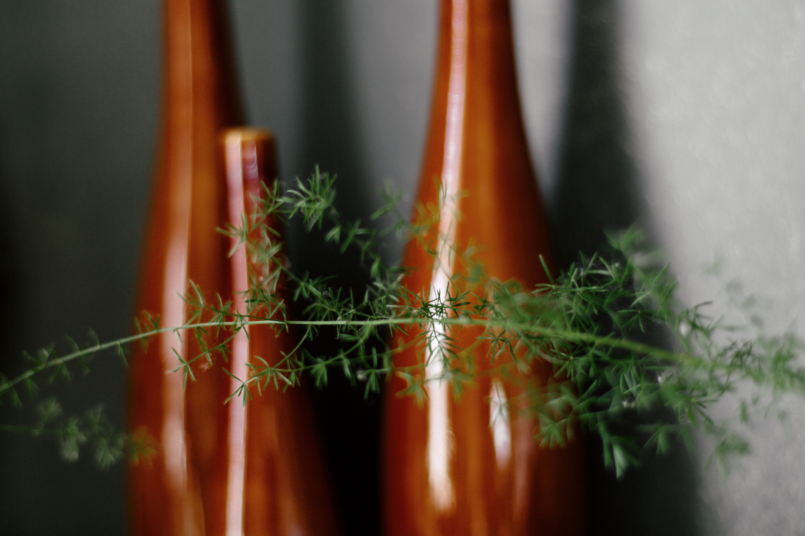 Интерьеры, которые я снимала