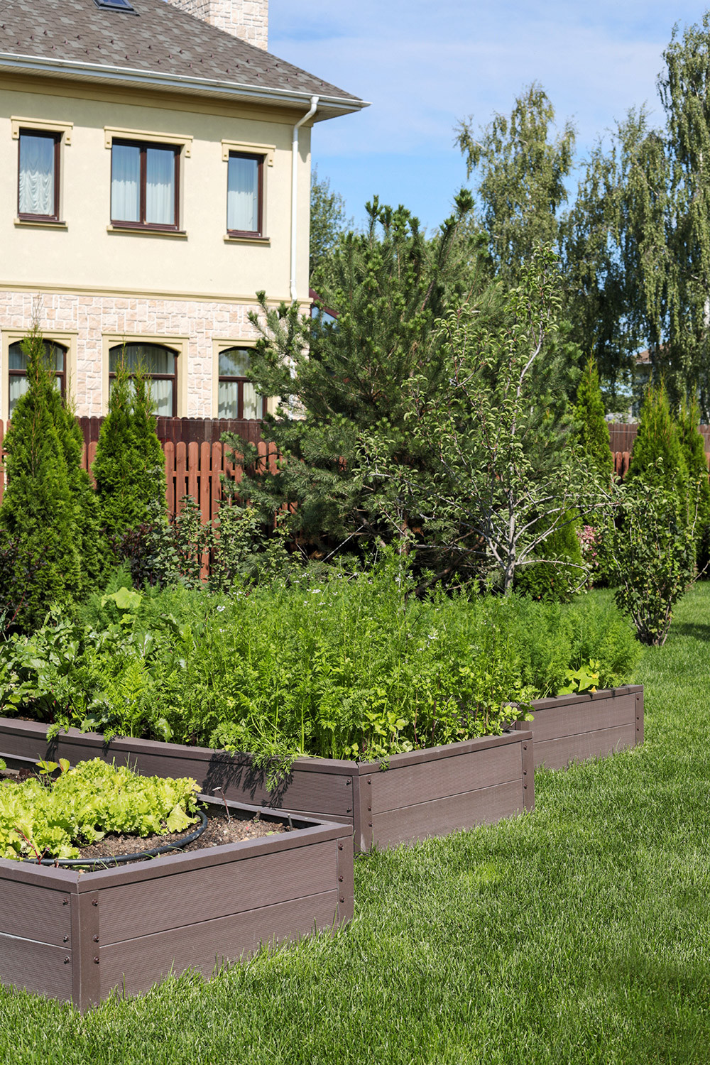 Ландшафтный дизайн приусадебного участка