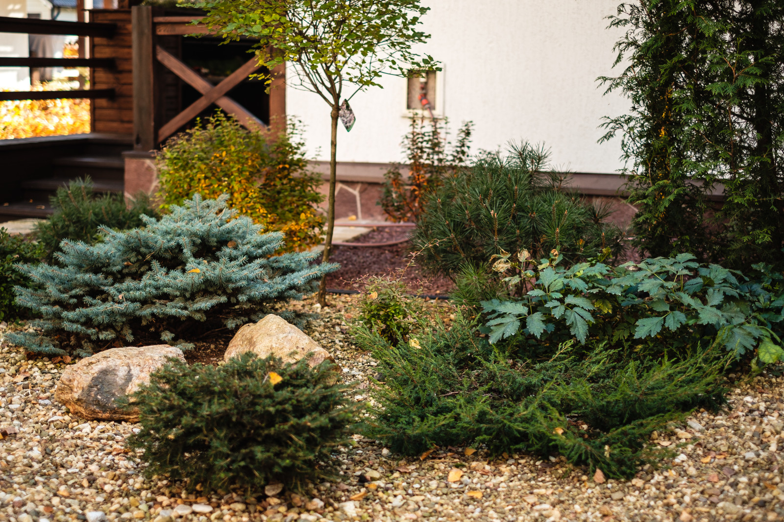 У леса на опушке