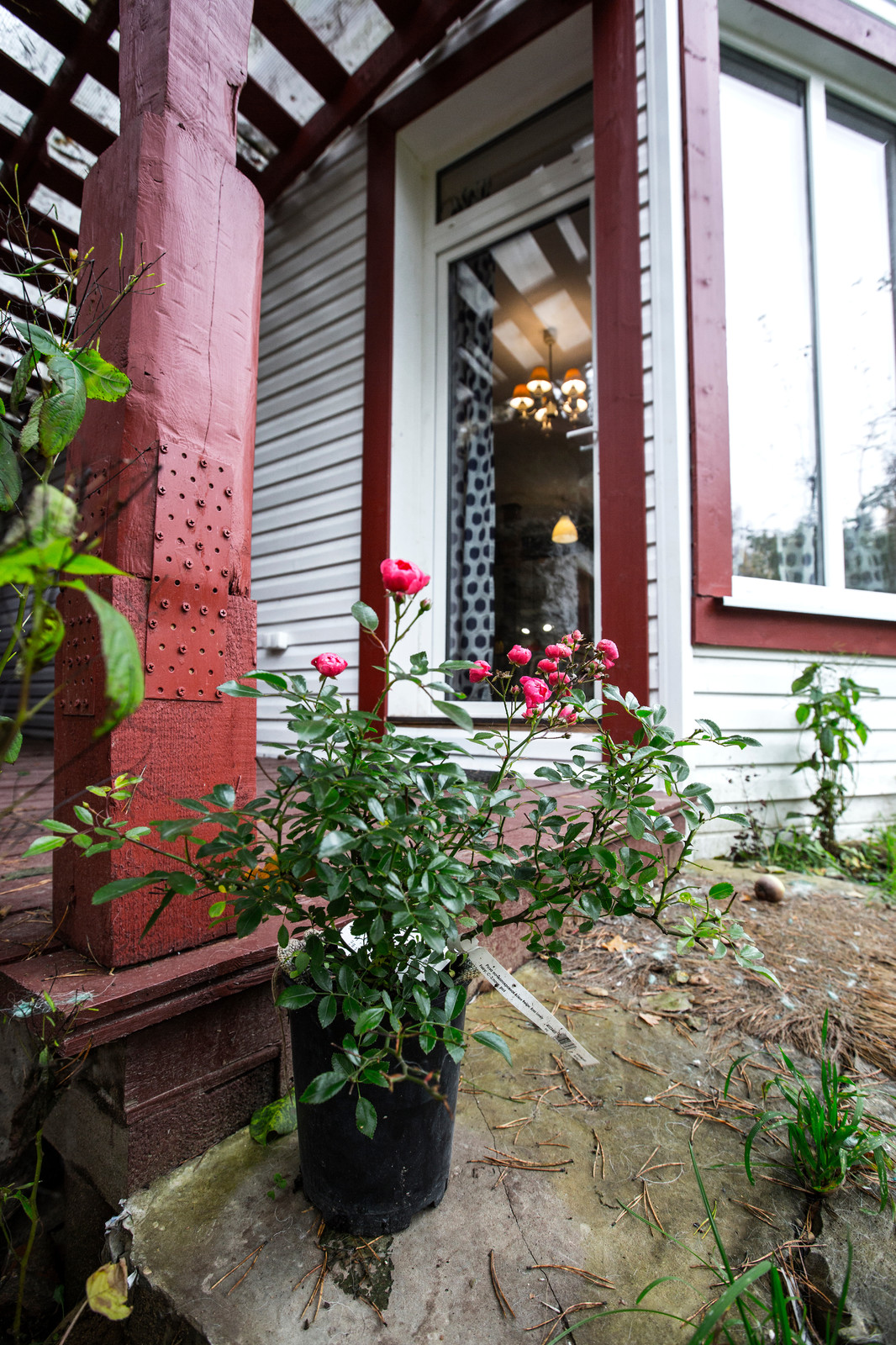 В гостях: Новый дом на месте бани