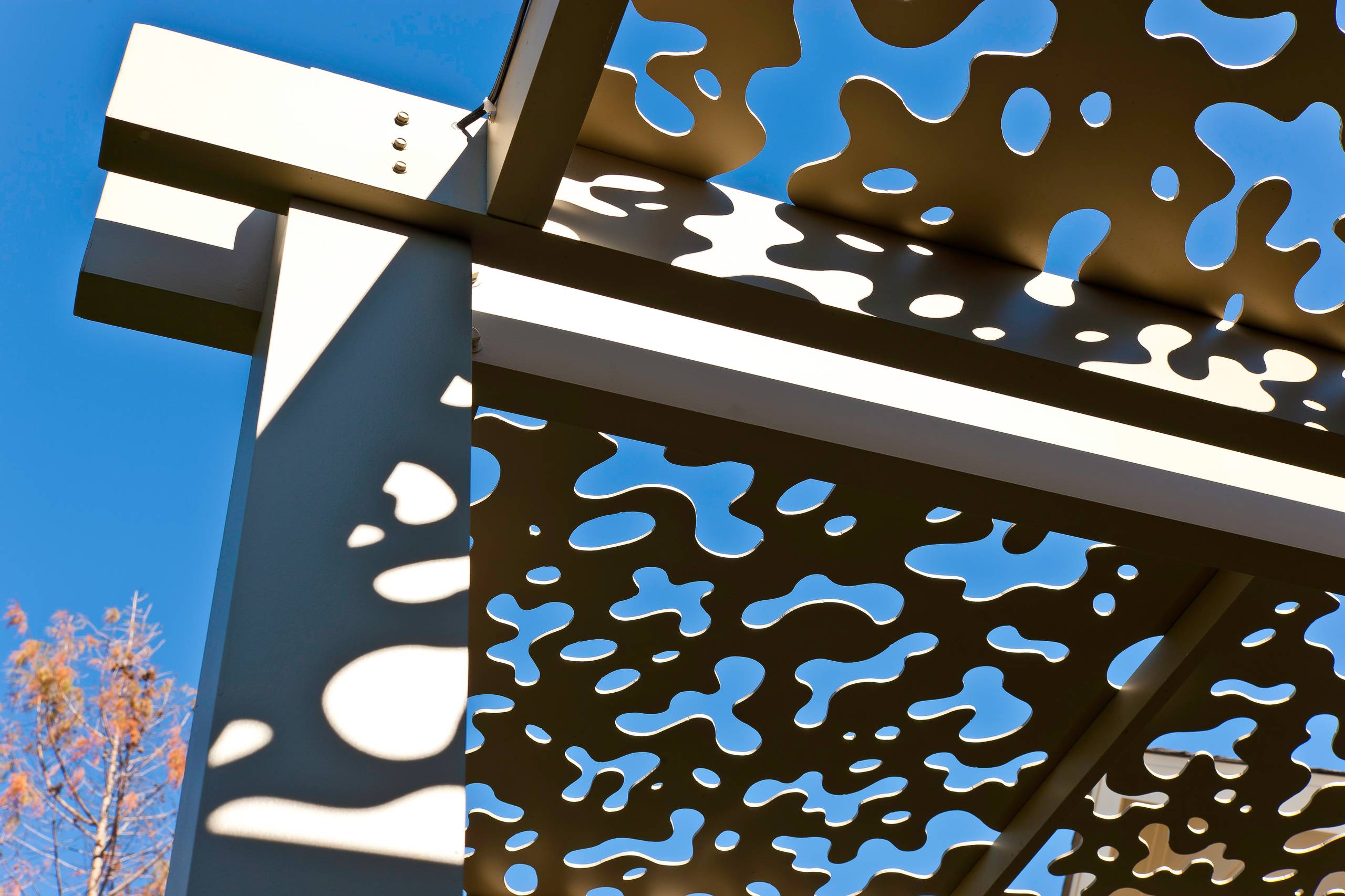 Houzz США: Кружевной навес возле дома в Техасе