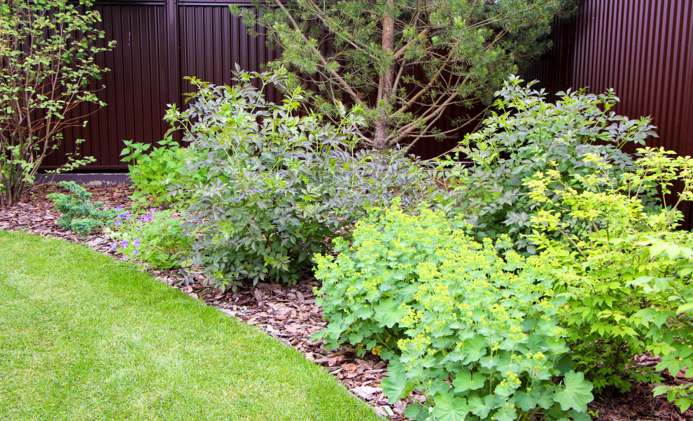 Петровское, 2018-2020 гг.