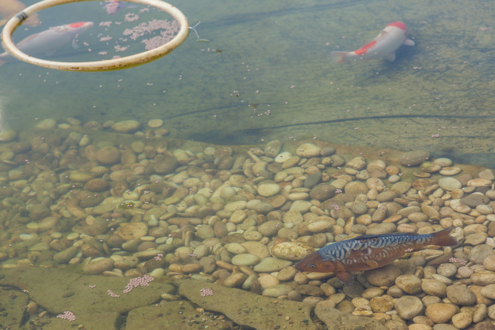 Родовое гнездо - трехэтажный загородный дом в Нижегородской области