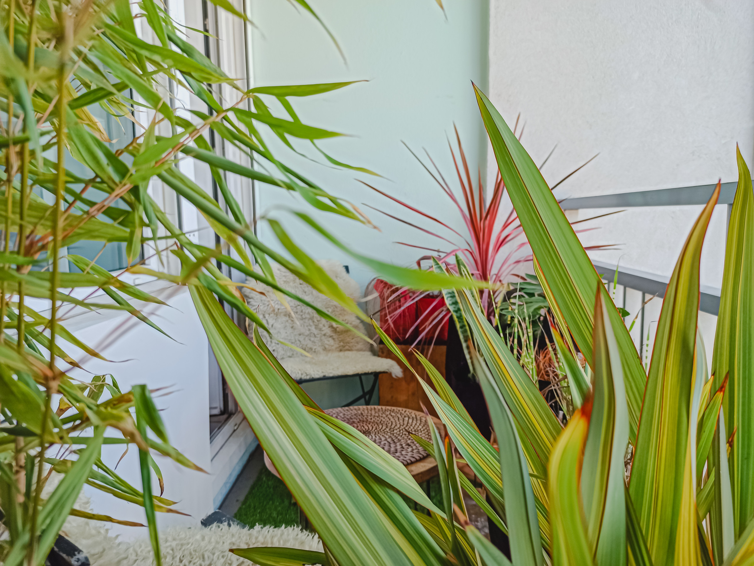 6 проектов: Что сажают на своих балконах французы