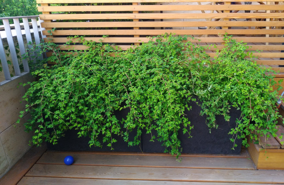 ЖК "Литератор"