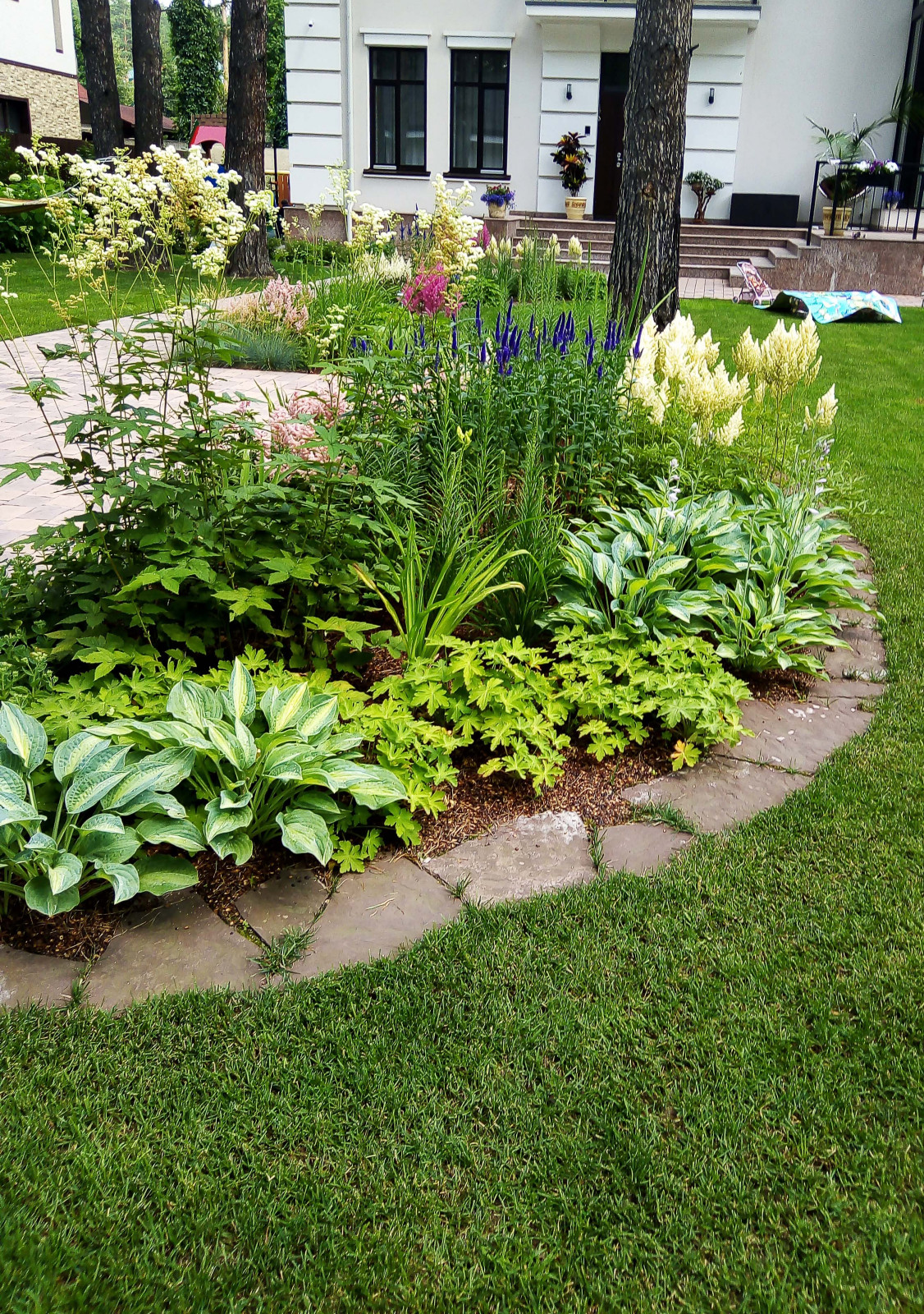 Цветники под пологом леса