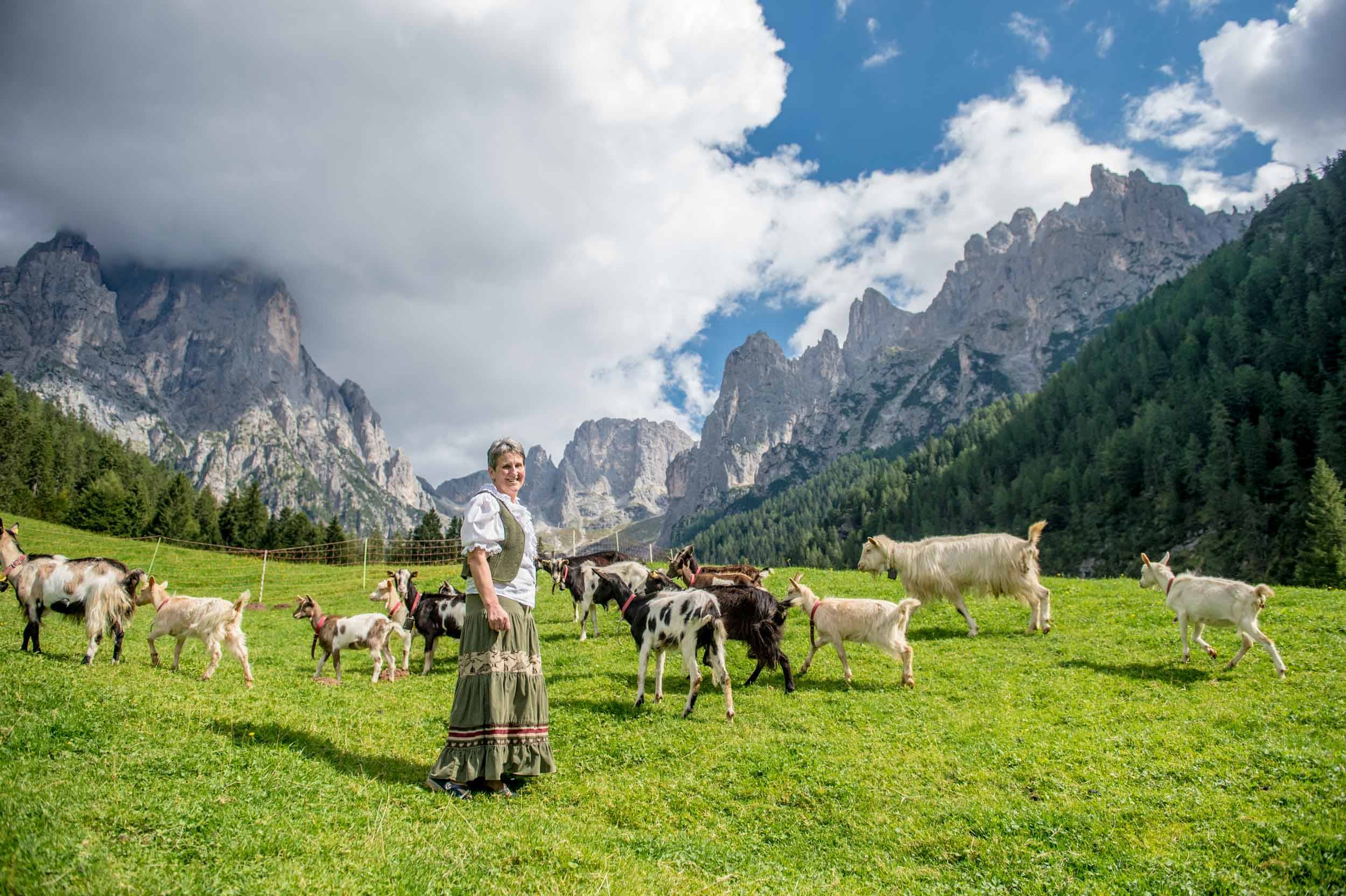 Houzz Италия: Королева альпийского приюта у подножья Доломитов