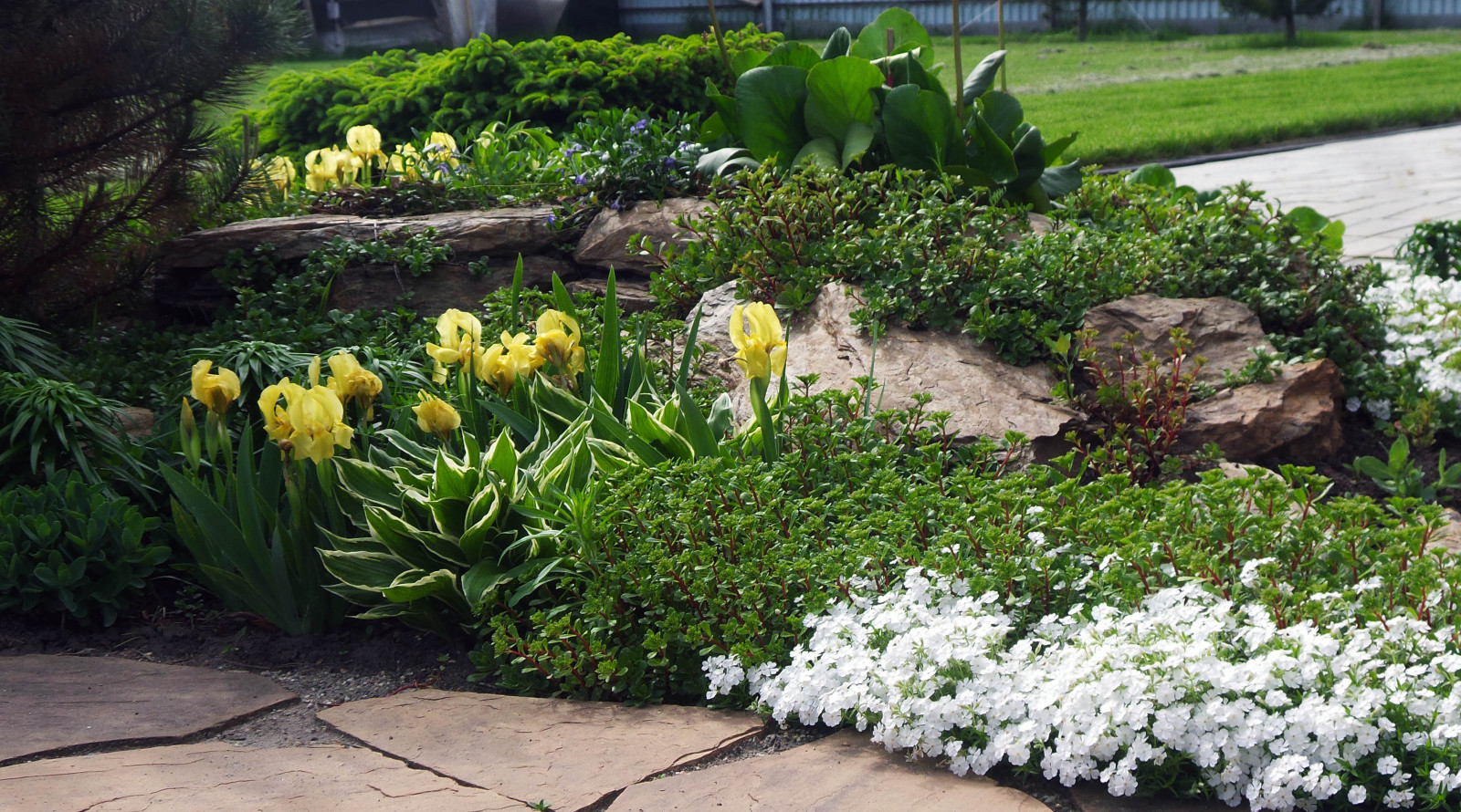 Миниатюрная декоративная композиция