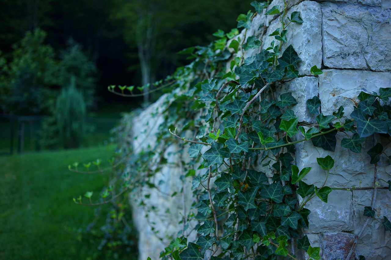 Лазурный Берег Сочи