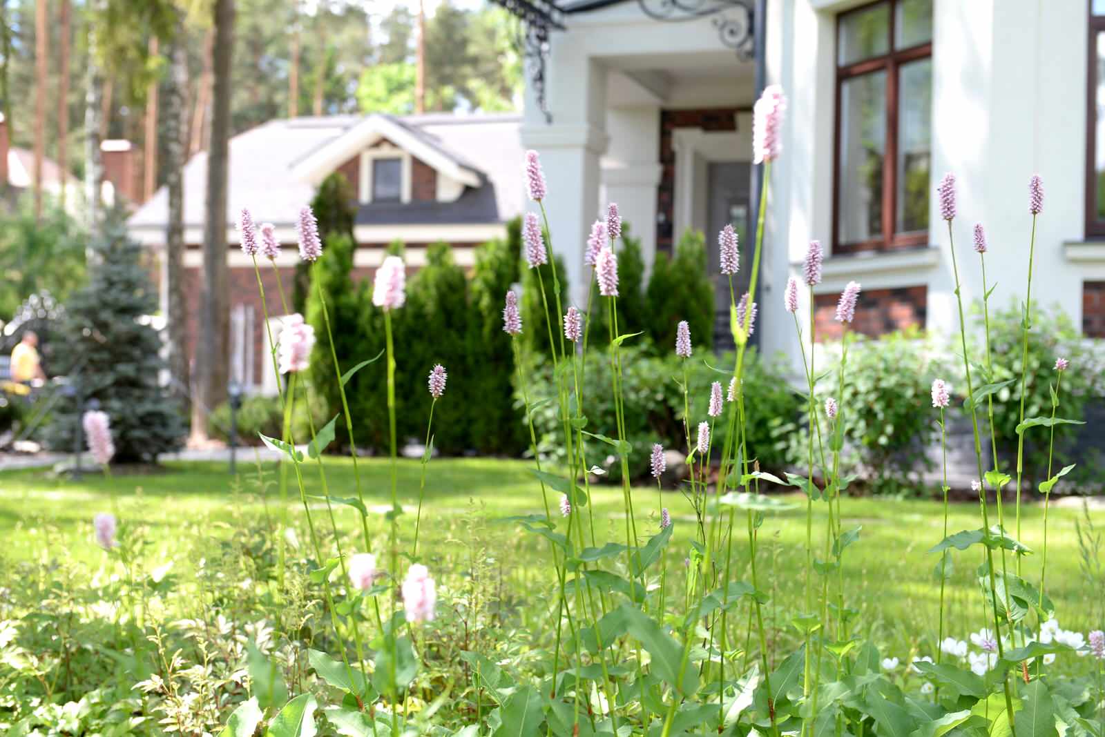 Новогорск 2021