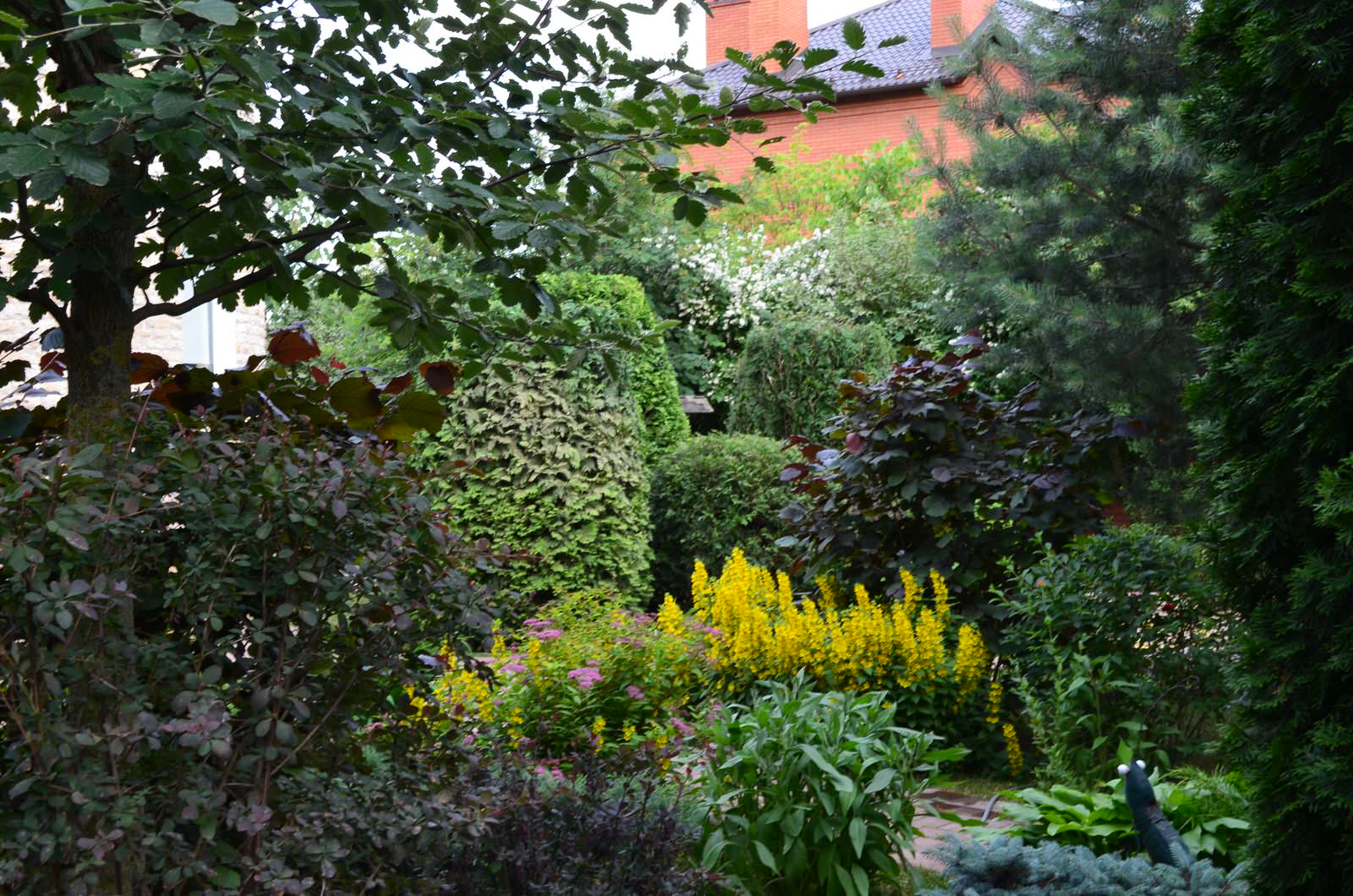 Сад "Царство растений" ландшафтный стиль.